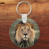 Alert Lion Sleutelhanger (Voorkant)