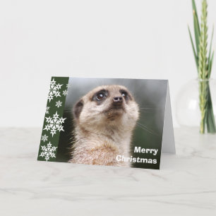Alert Meerkat Christmas Kaart