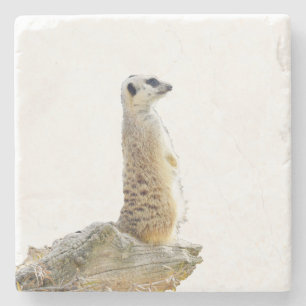 Alert Meerkat over wachtdienst, Stenen Onderzetter