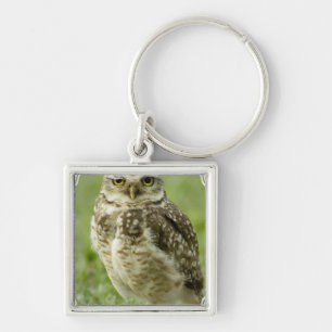 Alert Owl Sleutelhanger