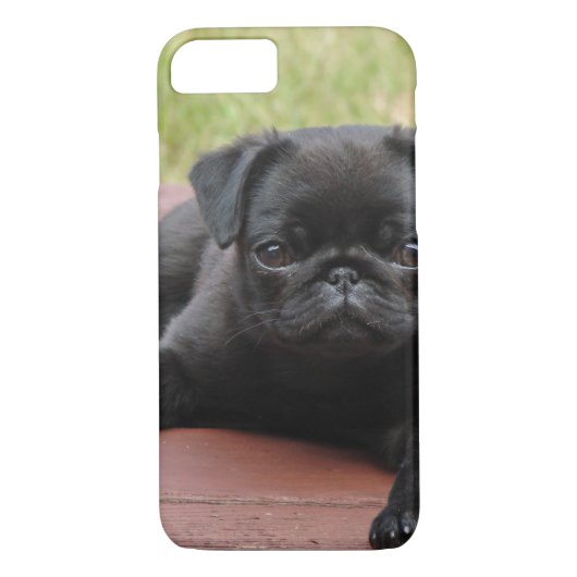 ALERT PUG PUPPY Case-Mate iPhone CASE (Achterkant)
