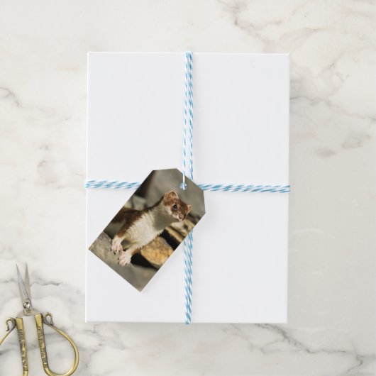 Alert Weasel Cadeaulabel (Met Touw)