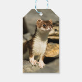 Alert Weasel Cadeaulabel (Voorkant)