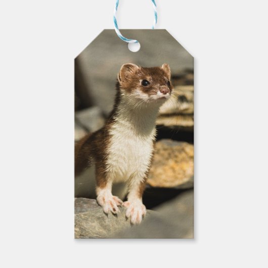 Alert Weasel Cadeaulabel (Voorkant)