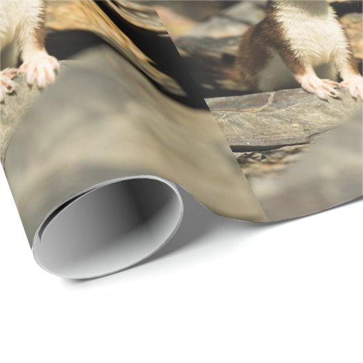 Alert Weasel Cadeaupapier (Rol Hoek)