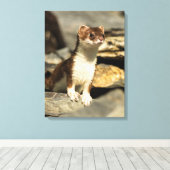 Alert Weasel Canvas Afdruk (Insitu (Houten vloer))