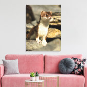 Alert Weasel Canvas Afdruk (Insitu (Woonkamer))