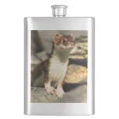 Alert Weasel Flacon (Voorkant)