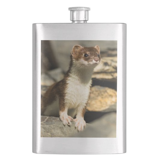 Alert Weasel Flacon (Voorkant)