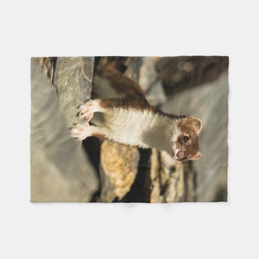 Alert Weasel Fleece Deken (Voorkant (Horizontaal))