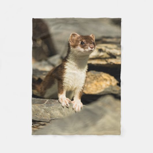 Alert Weasel Fleece Deken (Voorkant)