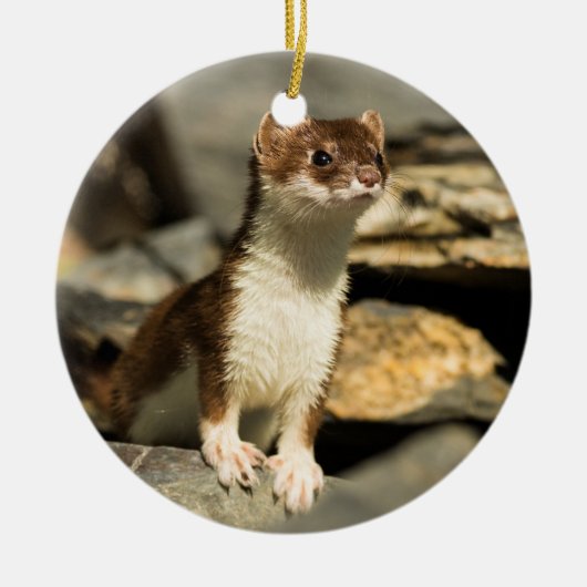 Alert Weasel Keramisch Ornament (Voorkant)