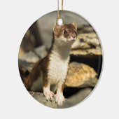 Alert Weasel Keramisch Ornament (Links)