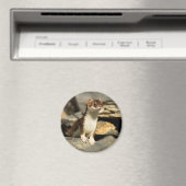 Alert Weasel Magneet (Insitu (Vaatwasser))
