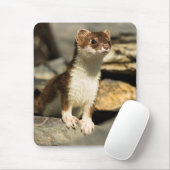 Alert Weasel Muismat (Met muis)