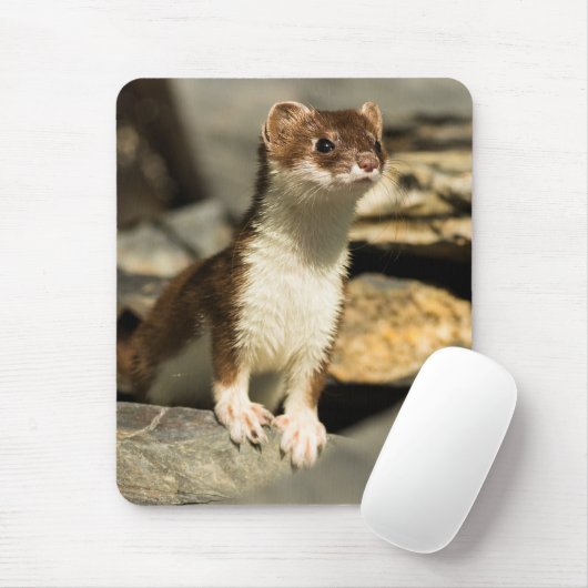 Alert Weasel Muismat (Met muis)