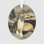 Alert Weasel Ornament (voorkant)