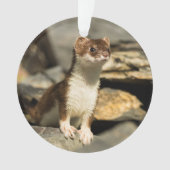 Alert Weasel Ornament (voorkant)