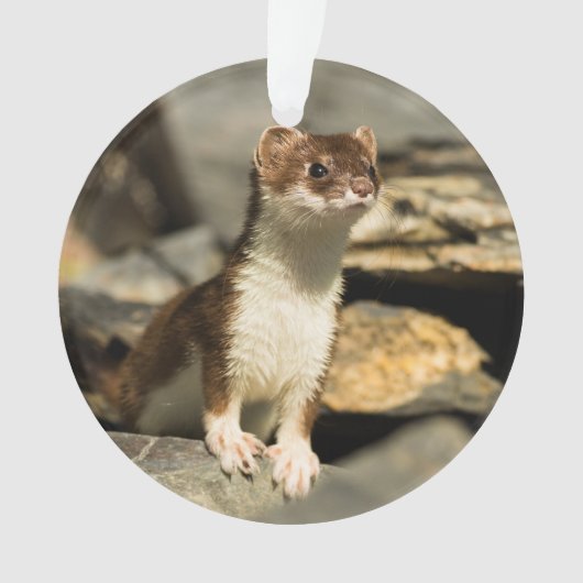 Alert Weasel Ornament (voorkant)