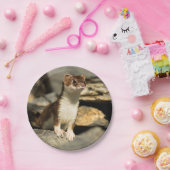 Alert Weasel Papieren Bordje (Feest)