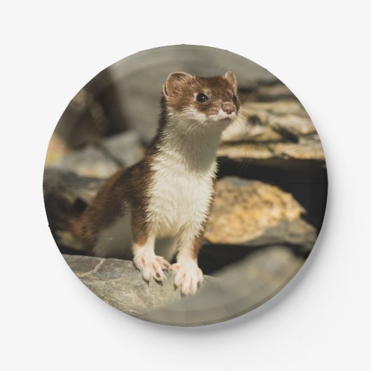 Alert Weasel Papieren Bordje (Voorkant)