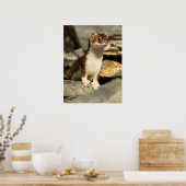 Alert Weasel Poster (Keuken)