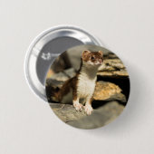 Alert Weasel Ronde Button 5,7 Cm (Voorkant /achterkant)