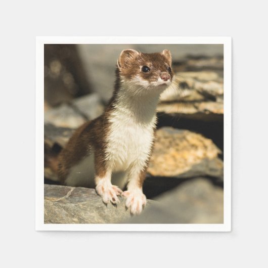 Alert Weasel Servet (Voorkant)