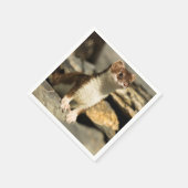 Alert Weasel Servet (Hoek)