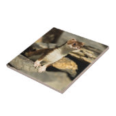 Alert Weasel Tegeltje (Zijkant)