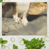 Alert Weasel Theedoek (Gevouwen)