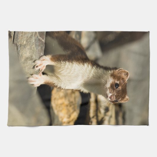 Alert Weasel Theedoek (Horizontaal)