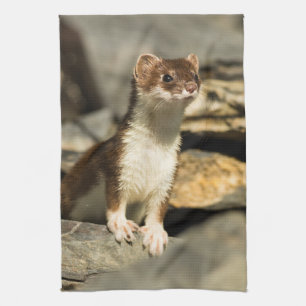 Alert Weasel Theedoek