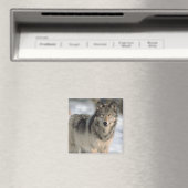 Alert Wolf Magneet (Insitu (Vaatwasser))