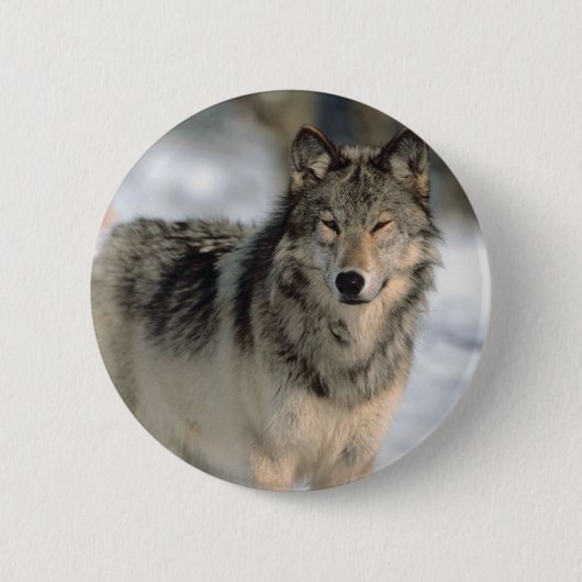 Alert Wolf Ronde Button 5,7 Cm (Voorkant)