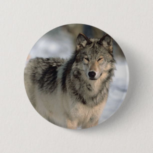 Alert Wolf Ronde Button 5,7 Cm