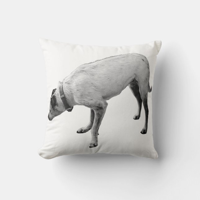 Alerte geest van Herfst Kussen (Voorkant)