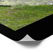 Aletsch Glacier, Zwitserland Poster (Hoek)