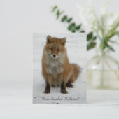 Aleutian Fox in Winter, Unalaska Island Briefkaart (Staand voorkant)