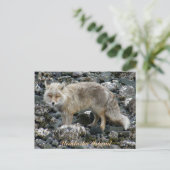 Aleutian Fox, Unalaska Island Briefkaart (Staand voorkant)