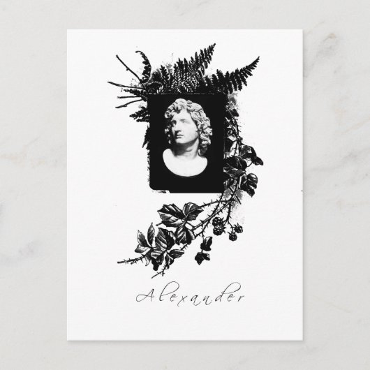 alexander de grote briefkaart (Voorkant)