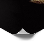 Alexander de Grote , gevonden in Pergamum Poster (Hoek)