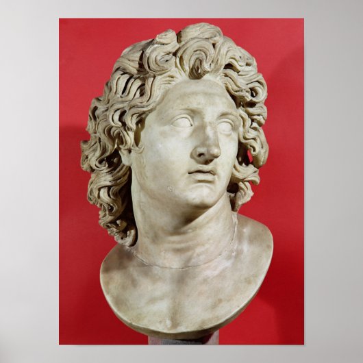 Alexander de Grote Koning van Macedonië Poster (Voorkant)