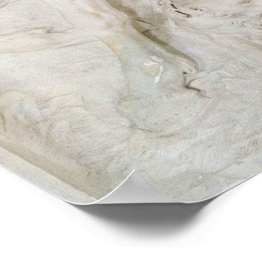 Alexander de Grote Poster (Hoek)