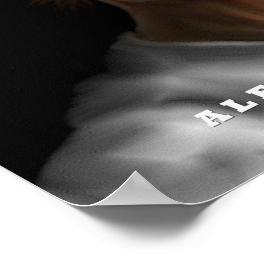 Alexander de Grote poster (Hoek)