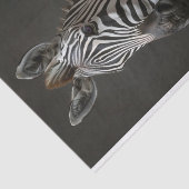 Alexander de Zebra Tissuepapier (Detail)