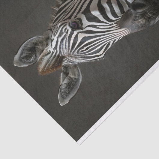 Alexander de Zebra Tissuepapier (Detail)