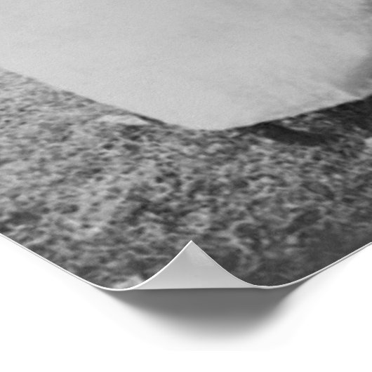 Alexander Graham Bell met Helen Keller Poster (Hoek)