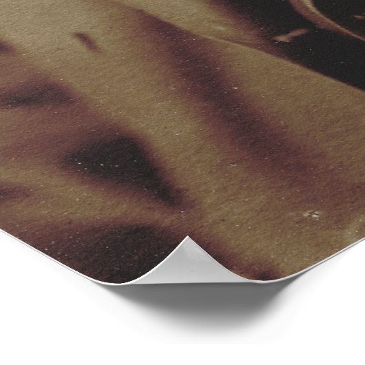 Alexander Graham Bell Portrait Poster (Hoek)