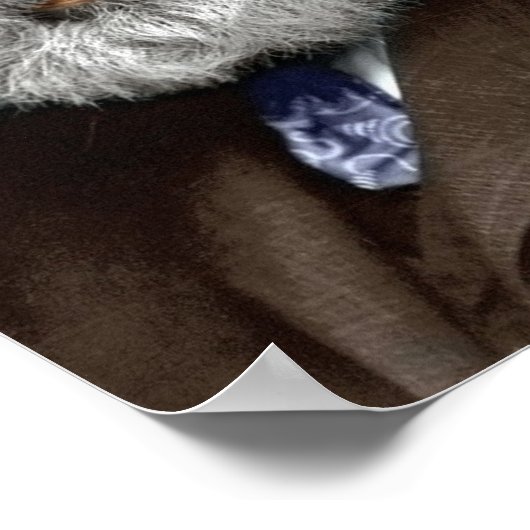 Alexander Graham Bell Poster (Hoek)